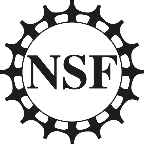 NSF logo 2